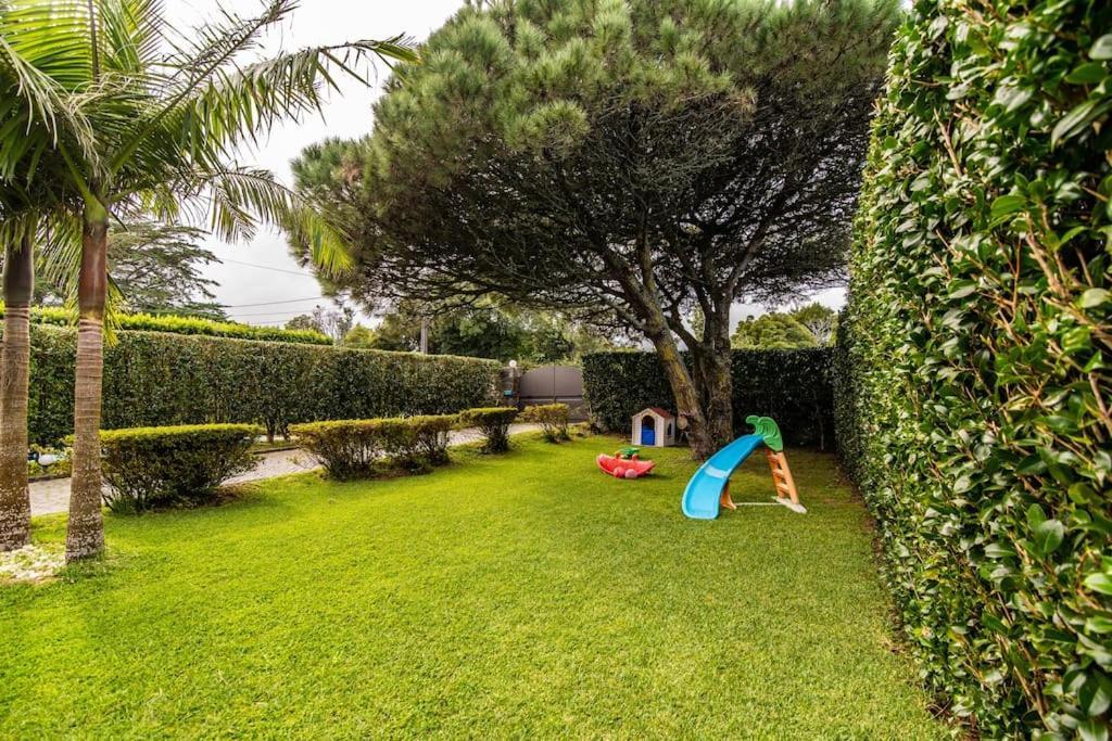 Apartamento Do Pinheiro Сан-Вісенте-Феррейра Екстер'єр фото